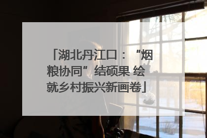 湖北丹江口：“烟粮协同”结硕果 绘就乡村振兴新画卷