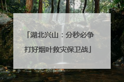 湖北兴山：分秒必争 打好烟叶救灾保卫战