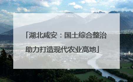 湖北咸安：国土综合整治助力打造现代农业高地