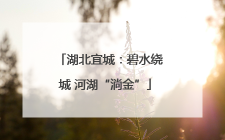 湖北宜城：碧水绕城 河湖“淌金”
