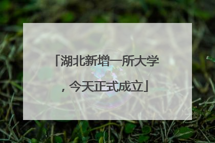 湖北新增一所大学，今天正式成立