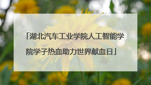 湖北汽车工业学院人工智能学院学子热血助力世界献血日