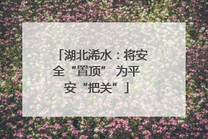 湖北浠水：将安全“置顶” 为平安“把关”