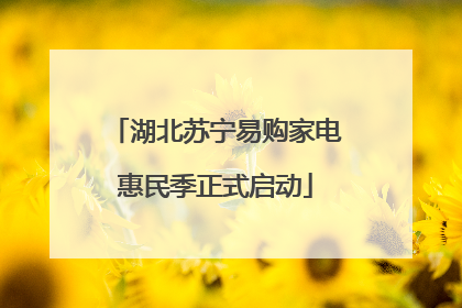 湖北苏宁易购家电惠民季正式启动