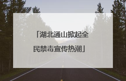 湖北通山掀起全民禁毒宣传热潮