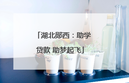 湖北郧西：助学贷款 助梦起飞