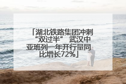 湖北铁路集团冲刺“双过半” 武汉中亚班列一年开行量同比增长72%