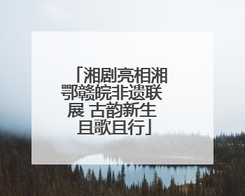 湘剧亮相湘鄂赣皖非遗联展 古韵新生 且歌且行