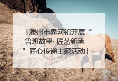 滕州市界河镇开展“鲁班故里· 匠艺新承”匠心传递主题活动