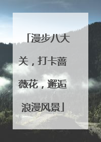 漫步八大关，打卡蔷薇花，邂逅浪漫风景