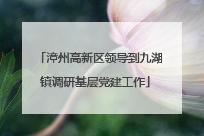 漳州高新区领导到九湖镇调研基层党建工作
