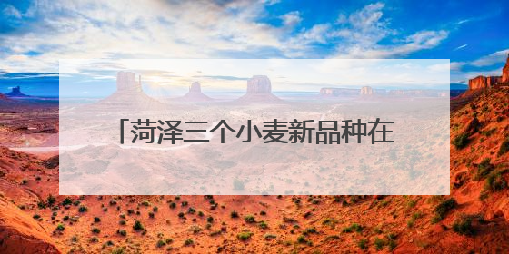 菏泽三个小麦新品种在新疆戈壁滩试种成功