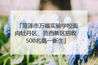 菏泽市万福实验学校面向牡丹区、鲁西新区招收500名高一新生