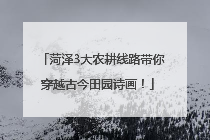 菏泽3大农耕线路带你穿越古今田园诗画！