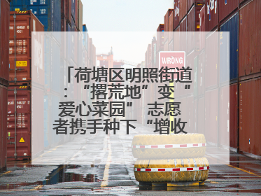 荷塘区明照街道：“撂荒地”变“爱心菜园” 志愿者携手种下“增收希望”