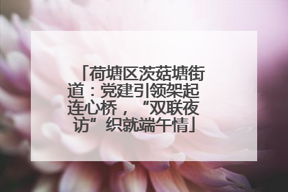 荷塘区茨菇塘街道：党建引领架起连心桥，“双联夜访”织就端午情