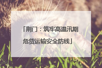 荆门：筑牢高温汛期危货运输安全防线