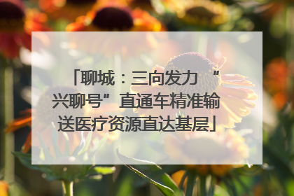聊城：三向发力 “兴聊号”直通车精准输送医疗资源直达基层