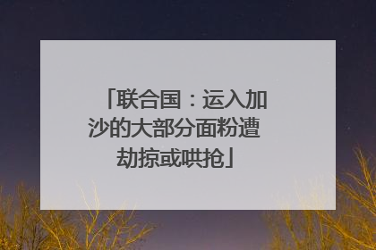 联合国：运入加沙的大部分面粉遭劫掠或哄抢