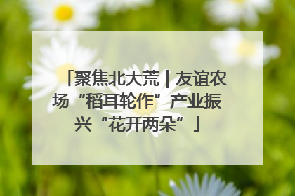 聚焦北大荒｜友谊农场“稻耳轮作”产业振兴“花开两朵”