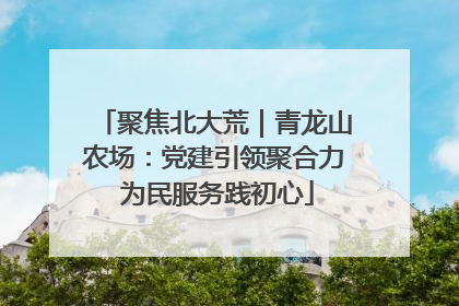聚焦北大荒｜青龙山农场：党建引领聚合力 为民服务践初心