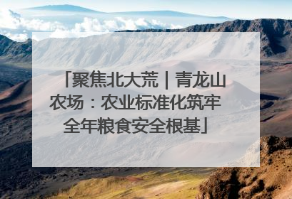聚焦北大荒｜青龙山农场：农业标准化筑牢全年粮食安全根基