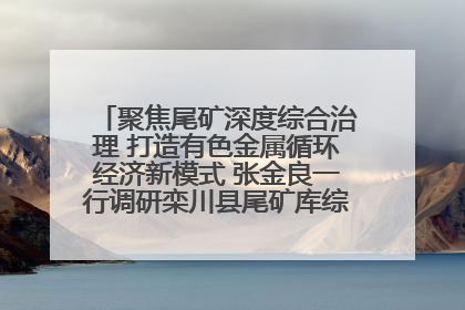 聚焦尾矿深度综合治理 打造有色金属循环经济新模式 张金良一行调研栾川县尾矿库综合治理工作