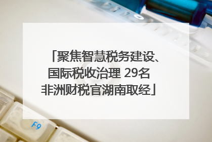 聚焦智慧税务建设、国际税收治理 29名非洲财税官湖南取经