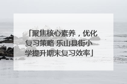 聚焦核心素养，优化复习策略 乐山县街小学提升期末复习效率