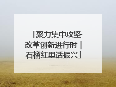 聚力集中攻坚·改革创新进行时｜石榴红里话振兴