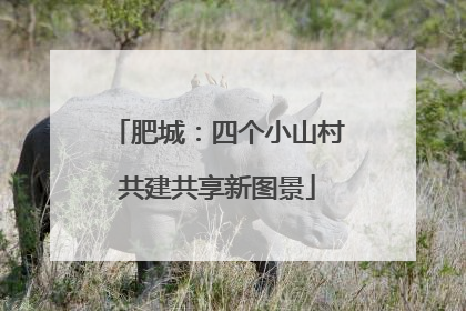 肥城：四个小山村共建共享新图景