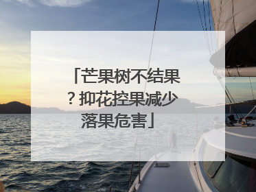 芒果树不结果？抑花控果减少落果危害