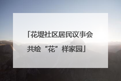 花堤社区居民议事会共绘“花”样家园