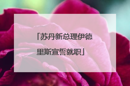 苏丹新总理伊德里斯宣誓就职