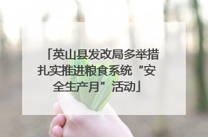 英山县发改局多举措扎实推进粮食系统“安全生产月”活动