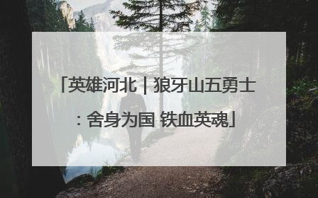 英雄河北｜狼牙山五勇士：舍身为国 铁血英魂
