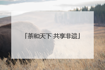 茶和天下 共享非遗