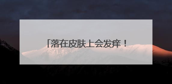 落在皮肤上会发痒！普吉一个家具厂附近发现不明絮状纤维物