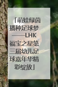 萌娃绿茵播种足球梦——LHK福宝之星第三届幼儿足球嘉年华精彩绽放