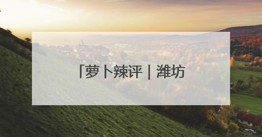 萝卜辣评｜潍坊探索全民数字素养提升新路径