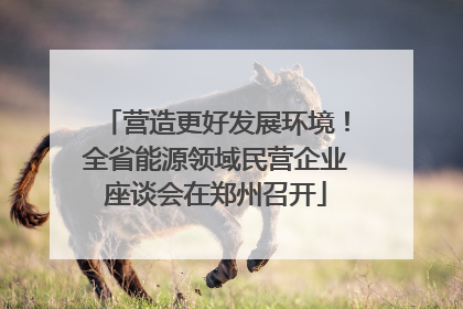 营造更好发展环境！全省能源领域民营企业座谈会在郑州召开