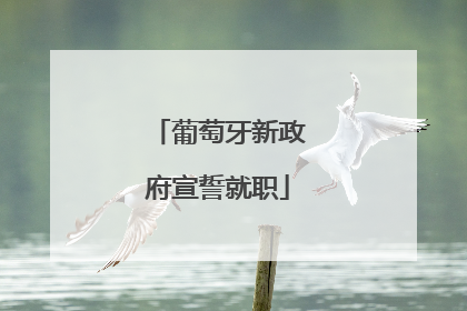 葡萄牙新政府宣誓就职