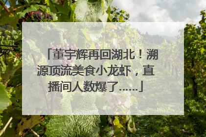 董宇辉再回湖北！溯源顶流美食小龙虾，直播间人数爆了……