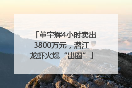 董宇辉4小时卖出3800万元，潜江龙虾火爆“出圈”