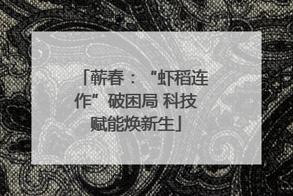 蕲春：“虾稻连作”破困局 科技赋能焕新生