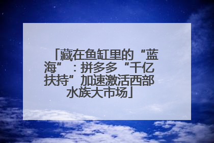 藏在鱼缸里的“蓝海”：拼多多“千亿扶持”加速激活西部水族大市场