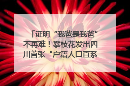 证明“我爸是我爸”不再难！攀枝花发出四川首张“户籍人口直系亲属关系谱”