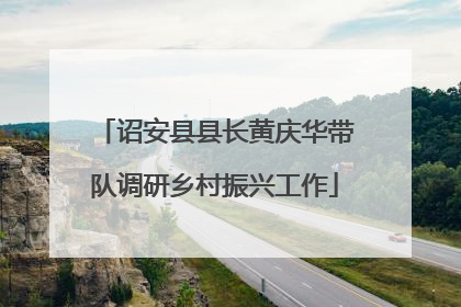 诏安县县长黄庆华带队调研乡村振兴工作