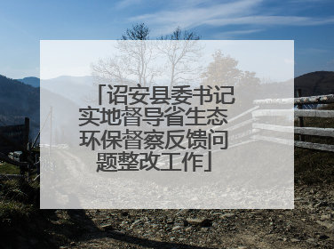 诏安县委书记实地督导省生态环保督察反馈问题整改工作