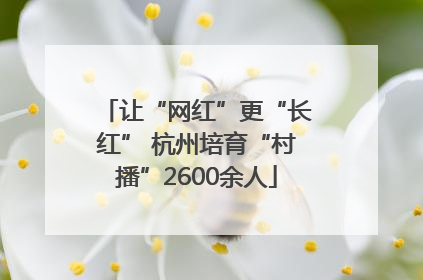 让“网红”更“长红” 杭州培育“村播”2600余人